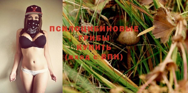 ПСИЛОЦИБИНОВЫЕ ГРИБЫ Абинск