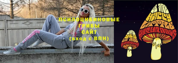 бошки Абаза
