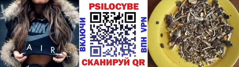 наркота  Киржач  ОМГ ОМГ как войти  Псилоцибиновые грибы Psilocybine cubensis 